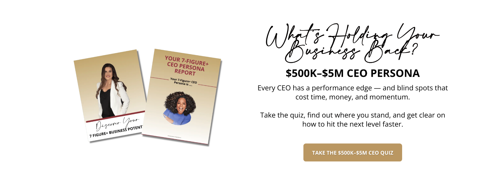 $500K–$5M CEO Persona report mockups